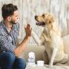 image:imageLeopong Dog Paw Care Kit Paw Cleaner and Balm for Pet Foot Washer Care 1 Pack Dog Balm1 pack dog balm