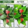 image:imageLeopong Plants Cleaning Wipes for Leaf Shine Clean and Photosynthesis Leaf Cleaner for House Plants Outdoor Plants 80 Wipes