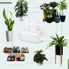 image:imageLeopong Plants Cleaning Wipes for Leaf Shine Clean and Photosynthesis Leaf Cleaner for House Plants Outdoor Plants 80 Wipes
