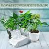 image:imageLeopong Plants Cleaning Wipes for Leaf Shine Clean and Photosynthesis Leaf Cleaner for House Plants Outdoor Plants 80 Wipes