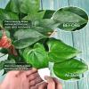 image:imageLeopong Plants Cleaning Wipes for Leaf Shine Clean and Photosynthesis Leaf Cleaner for House Plants Outdoor Plants 80 Wipes